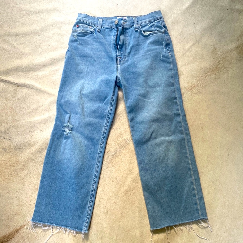 Hudson cropped jean with stretch